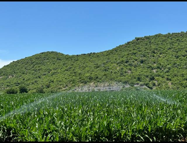 56HA FARM FOR SALE IN WEENEN